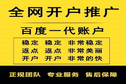 SEM托管公司案例：优化与增长